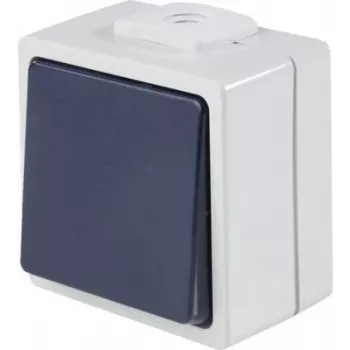 AS SCHWABE 62452 paviršinis mygtukinis jungiklis, IP54, pilkas, 250V/10A, 1NO