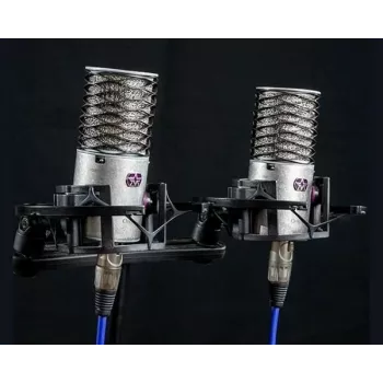 Aston Microphones Origin Stereo Pair – suderinta stereofoninių kondensatorinių mikrofonų pora