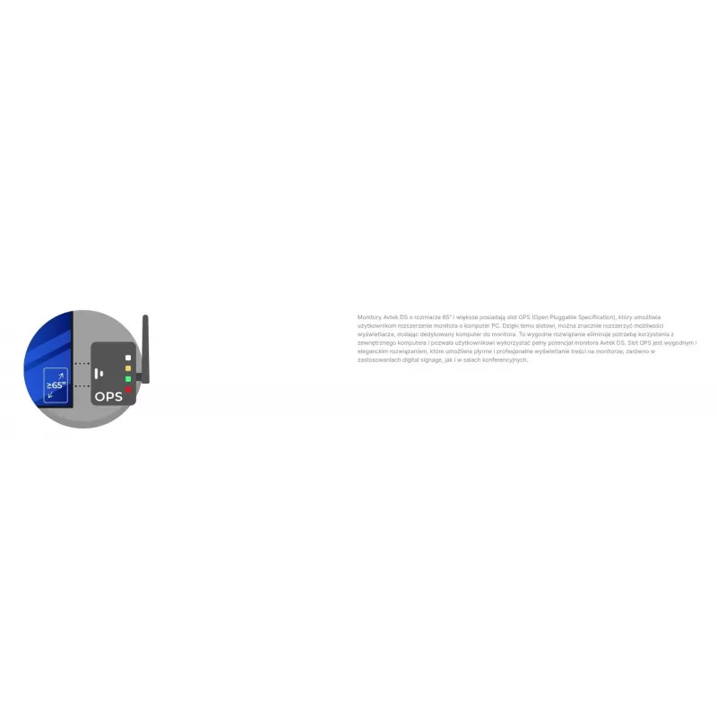 Avtek DS2 55 4K UHD informacinis monitorius, 55 coliai