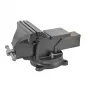 AWTOOLS AW24207 sukamasis veržtuvas 100 mm, ketaus, su priekalu | Kur.lt