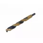 AWTOOLS AW41990 SDS-PLUS gręžtuvas betonui 10x160 mm