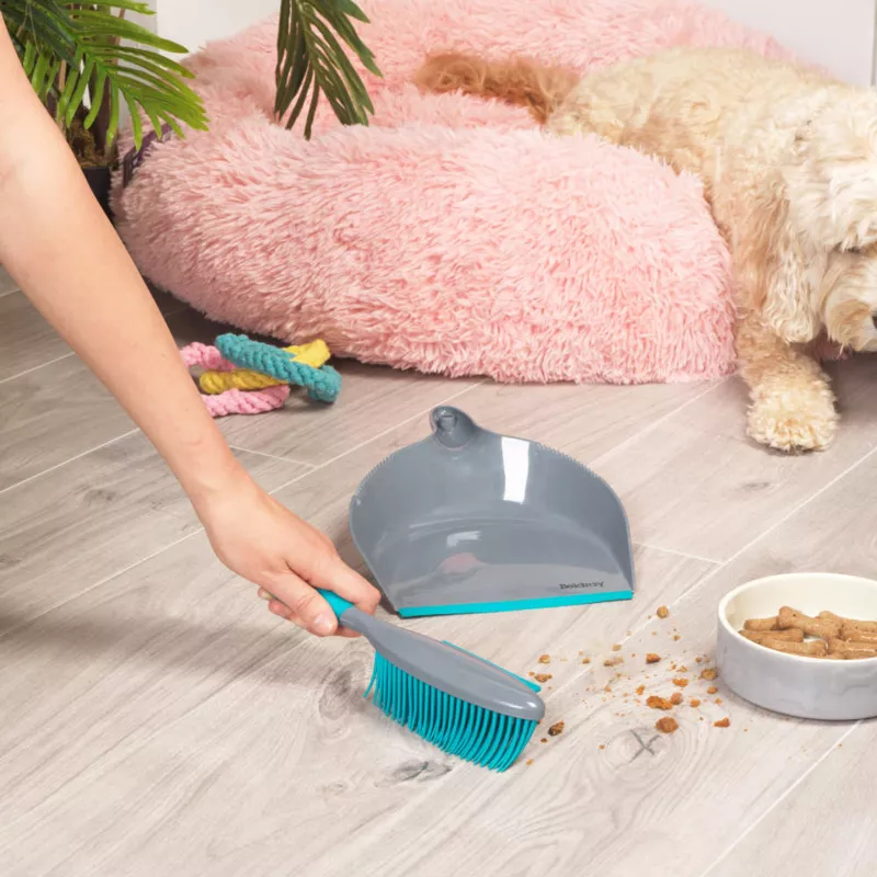 Beldray LA034191UFPEU7 Anti-bac Pet Plus+ Gumminis Šepetėlis su Samteliu
