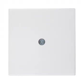 Berker Centrinė plokštelė kabelio išvadui, poliarinė balta (55x55 mm, IP20, įleidžiamas montavimas) - 10198989