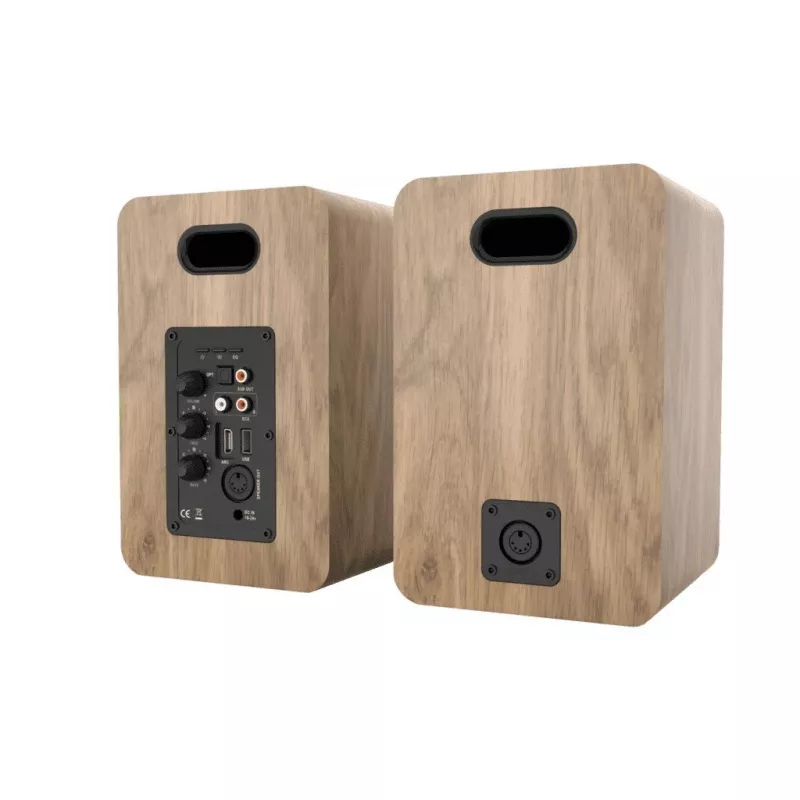 Blaupunkt BS50OK 2-jų krypčių grindinė garso kolonėlė 50W RMS, ruda