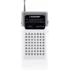 Blaupunkt PR4WH nešiojamas AM/FM radijas, pilkas