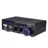 Blitzwolf AS-22 Audio Amplifier, 45W, Bluetooth 5.0, USB + Remote Control (Black)