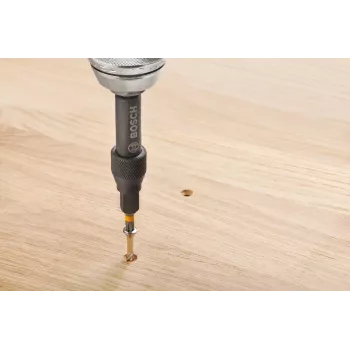 Bosch 2607002786 20 dalių atsuktuvų antgalių rinkinys su magnetiniu universaliu laikikliu, 25 mm S2 plieno antgaliai Phillips, Pozidriv, slotted, Torx, Hex