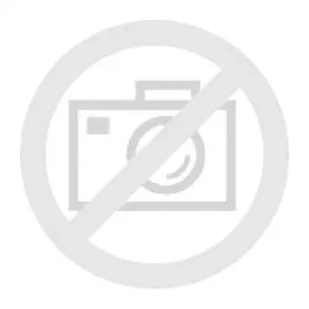 Bosch GMM 1-15 drėgmės matuoklis 601078200