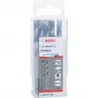 Bosch PowerTools HSS PointTeQ Hex Twist Drill Bit, 6 mm, 10 vnt., darbinė dalis 57 mm
