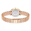BOSS moteriškas laikrodis 1502820 Quartz 28mm nerūdijančio plieno tinklelis sidabrinis