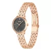 BOSS moteriškas laikrodis 1502820 Quartz 28mm nerūdijančio plieno tinklelis sidabrinis