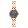 BOSS moteriškas laikrodis 1502820 Quartz 28mm nerūdijančio plieno tinklelis sidabrinis