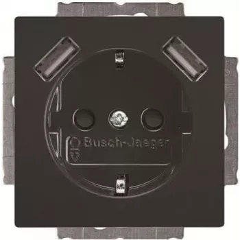BUSCH-JAEGER BJ 20 EUCB2USB-81 SCHUKO lizdas su 2 USB prievadais, alpinės baltos spalvos