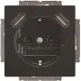 BUSCH-JAEGER BJ 20 EUCB2USB-81 SCHUKO lizdas su 2 USB prievadais, alpinės baltos spalvos