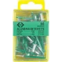 C.K Tools T3819A 508 aklosios kniedės 4,8 x 19 mm, aliuminis/plienas, pusapvale galvute (50 vnt.)