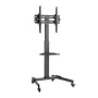 CABLETECH Mobile TV Mount – stovas su lentyna