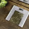 Cecotec svarstyklės vonios Surface Precision Healthy, maksimalus svoris 180 kg, pilka/permatoma | Kur.lt