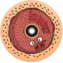 Chubby Wheel 110mm Red Donut – Freestyle paspirtuko ratas su ABEC-9 guoliais