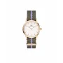 DANIEL WELLINGTON Petite Lumine moteriškas laikrodis 28 mm auksinis nerūdijančio plieno tinklelis DW00100680