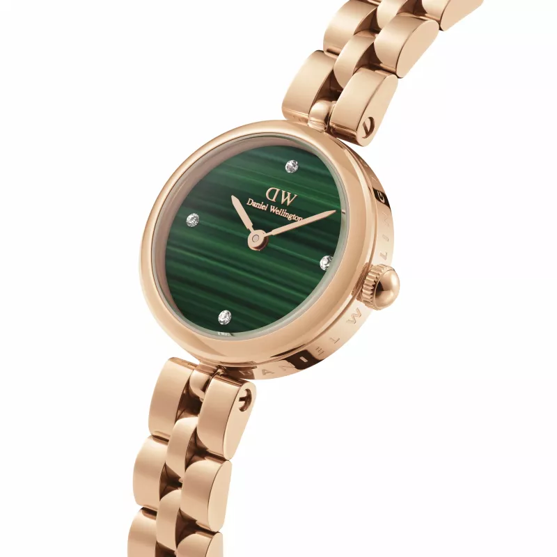 DANIEL WELLINGTON Moteriškas laikrodis DW00100721 (22 mm) - Rožinio aukso nerūdijančio plieno tinklelis