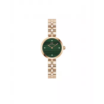 DANIEL WELLINGTON Moteriškas laikrodis DW00100721 (22 mm) - Rožinio aukso nerūdijančio plieno tinklelis