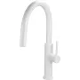 DEANTE Aster virtuvės maišytuvas chromuotas