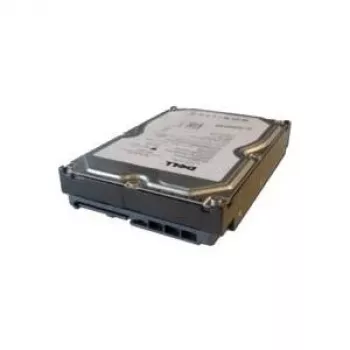 Dell 1TB 3.5 colio SAS Nearline kietasis diskas 7200 RPM (FNW88)