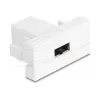 Delock Easy 45 modulis EASY-USB 2.0 Type-A moteriškas į moterišką baltas 90866