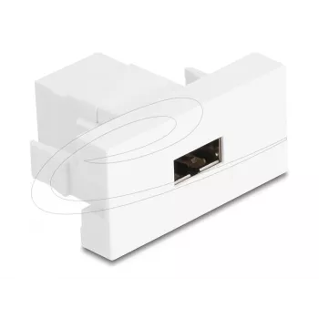 Delock Easy 45 modulis EASY-USB 2.0 Type-A moteriškas į moterišką baltas 90866