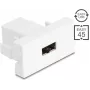 Delock Easy 45 modulis EASY-USB 2.0 Type-A moteriškas į moterišką baltas 90866