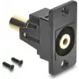 Delock skydelio montavimo 3,5 mm 3 kontaktų lizdo sujungėjas moteriškas į moterišką auksuotas juodas 91207