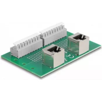 Delock RJ45 2 x Female to 2 x Terminal Block su mygtuku DIN bėgiui, kampu (66995)