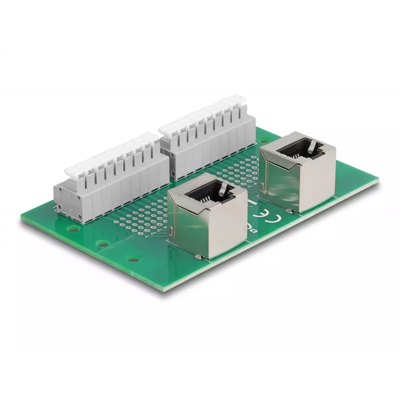 Delock RJ45 2 x Female to 2 x Terminal Block su mygtuku DIN bėgiui, kampu (66995)