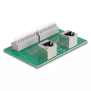 Delock RJ45 2 x Female to 2 x Terminal Block su mygtuku DIN bėgiui, kampu (66995)