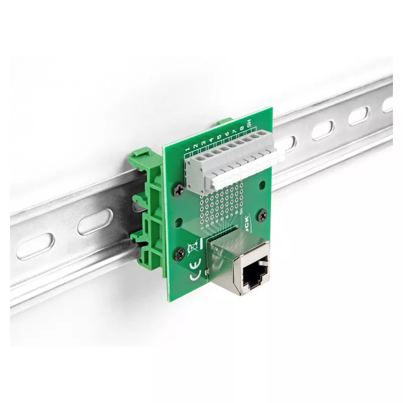 Delock RJ45 lizdas į gnybtų bloką su mygtuku DIN bėgiui, kampuotas (66993)