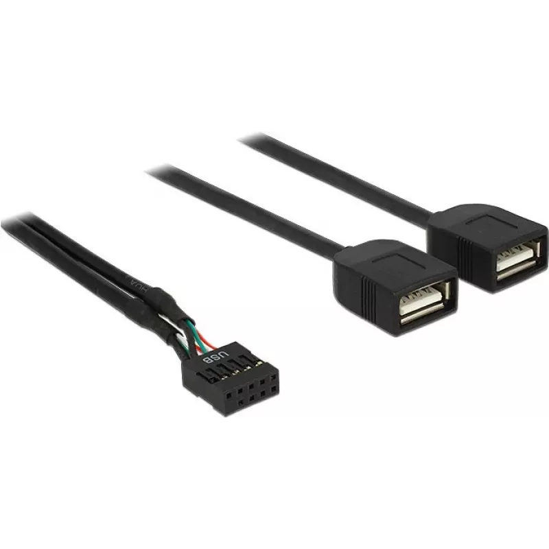 Delock USB 2.0 pinų antgalio į 2 x Type-A moterišką adapterio kabelis 40 cm 83823
