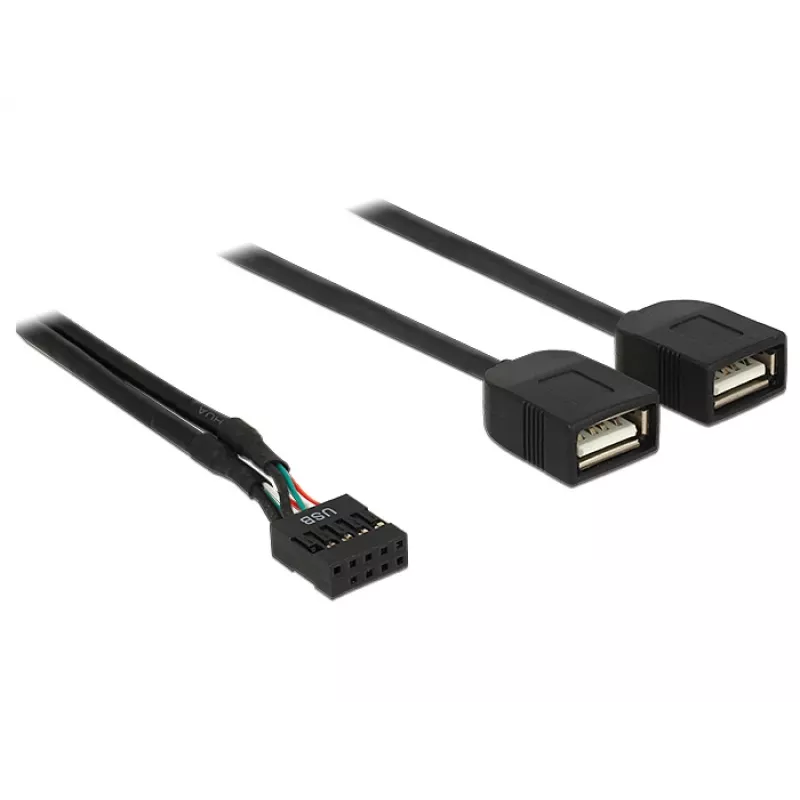Delock USB 2.0 pinų antgalio į 2 x Type-A moterišką adapterio kabelis 40 cm 83823