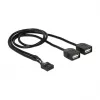 Delock USB 2.0 pinų antgalio į 2 x Type-A moterišką adapterio kabelis 40 cm 83823