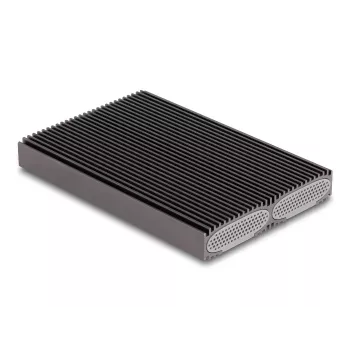 Delock USB Type-C dvigubas kombinuotas korpusas 2 x M.2 NVMe PCIe arba SATA SSD - be įrankių