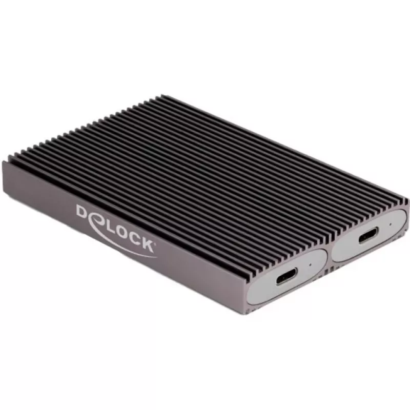 Delock USB Type-C dvigubas kombinuotas korpusas 2 x M.2 NVMe PCIe arba SATA SSD - be įrankių