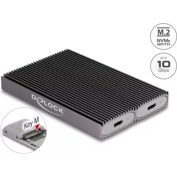 Delock USB Type-C dvigubas kombinuotas korpusas 2 x M.2 NVMe PCIe arba SATA SSD - be įrankių