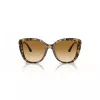 EMPORIO ARMANI Moteriški katės akies akiniai nuo saulės EA4214U60593B Skaidrus rudas rėmas Rudi gradientiniai lęšiai 54/18/140 mm