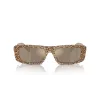 EMPORIO ARMANI moteriški akiniai nuo saulės EA4229U61195A Cat Eye permatomi pilki rėmeliai pilki gradientiniai lęšiai 55 mm