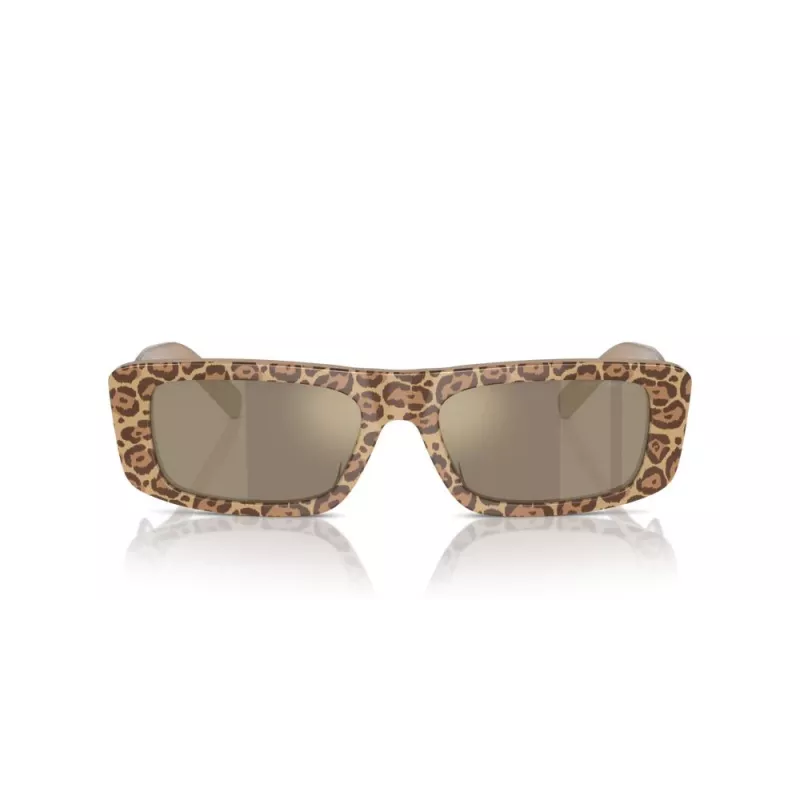 EMPORIO ARMANI moteriški akiniai nuo saulės EA4229U61195A Cat Eye permatomi pilki rėmeliai pilki gradientiniai lęšiai 55 mm