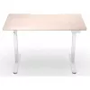 ENDORFY Atlas S Electric reguliuojamo aukščio stalas, šviesus medis 120x60 cm