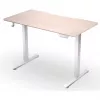 ENDORFY Atlas S Electric reguliuojamo aukščio stalas, šviesus medis 120x60 cm
