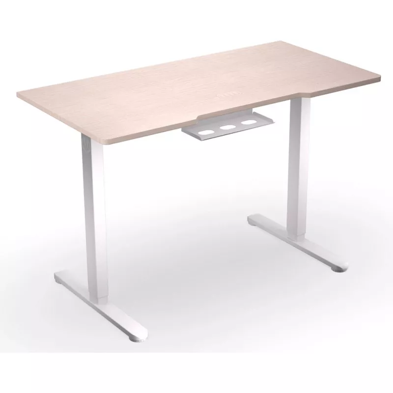 ENDORFY Atlas S Electric reguliuojamo aukščio stalas, šviesus medis 120x60 cm