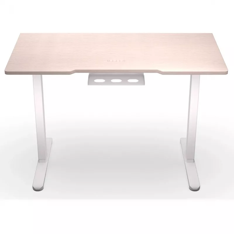 ENDORFY Atlas S Electric reguliuojamo aukščio stalas, šviesus medis 120x60 cm