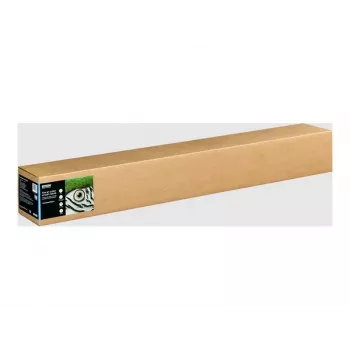 Epson Fine Art II Cotton Smooth Matte Natural White 300g/m² ruloninis rašalinių spausdintuvų popierius (111,76 cm x 15 m)