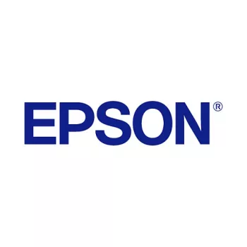 Epson UltraChrome GS3 T45LB00 Metalinis sidabras 500 ml rašalo pakuotė